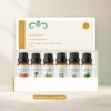 zomerlicht-oliecollectie-6x10ml-02-open-box-v2 Open Zomerlicht doos met zes etherische-olieflesjes in één vaste rij.