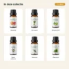 zomerlicht-oliecollectie-6x10ml-03-inhoud-v2 Inhoud van Zomerlicht met Grapefruit, Citroengras, Bergamot FCF, Neroli, Palmarosa en Pepermunt.