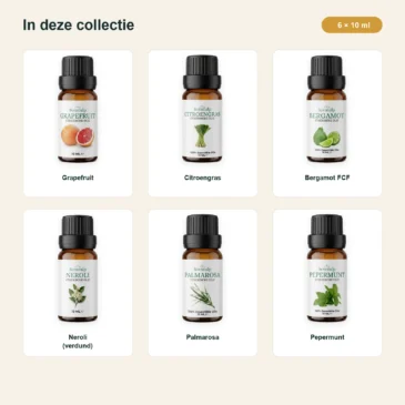 zomerlicht-oliecollectie-6x10ml-03-inhoud-v2 Inhoud van Zomerlicht met Grapefruit, Citroengras, Bergamot FCF, Neroli, Palmarosa en Pepermunt.