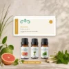 zomerlicht-oliecollectie-6x10ml-04-geurprofiel-v2 Zomerlicht oliecollectie in een botanische setting met een fris, citrusachtig en helder geurprofiel.